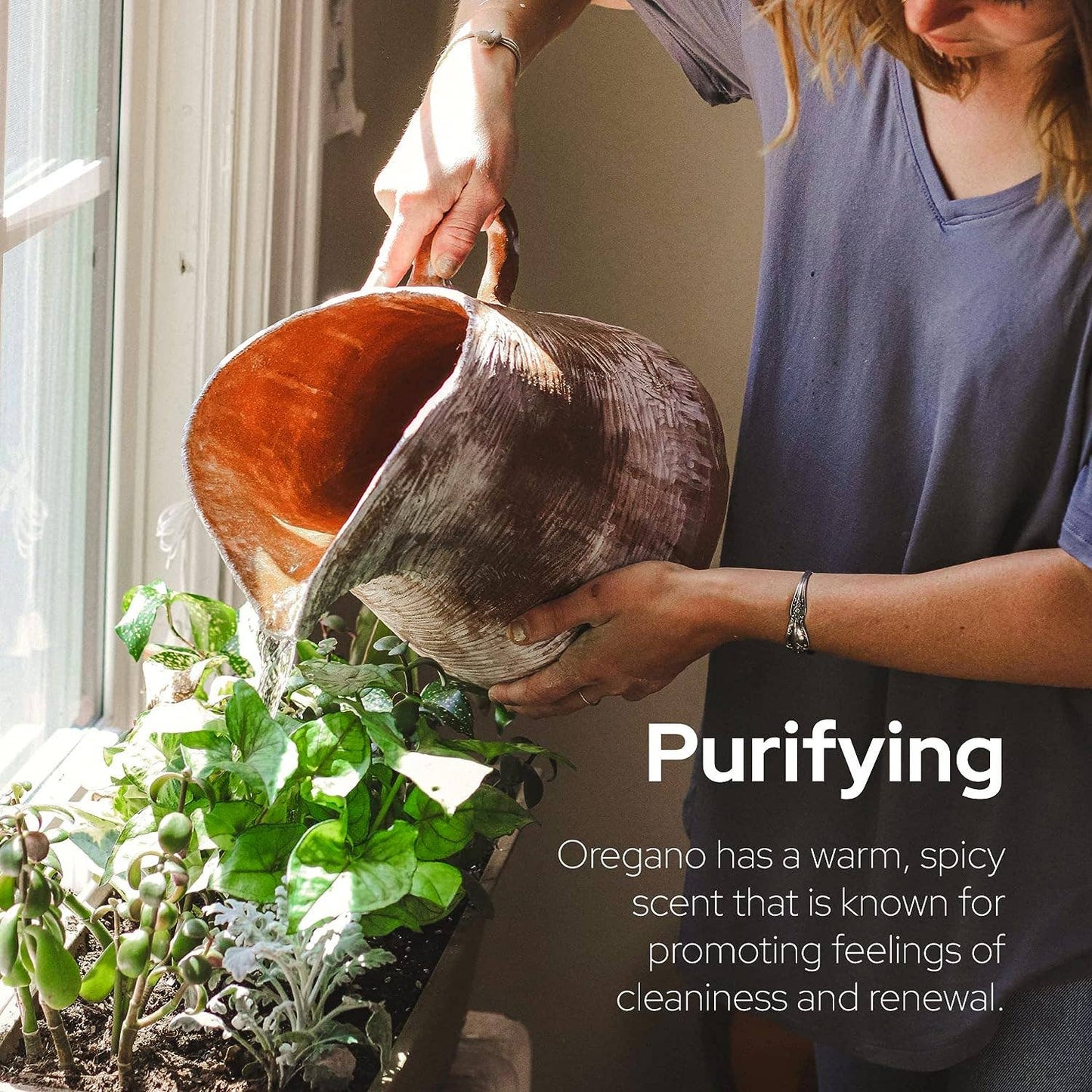 Plant of Life Wild Oregano Oil - 6 Months Supply - 30ml, 1oz: 1oz