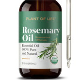 Rosemary Essential Oil for Aromatherapy Hair, Skin, & Nails: 2oz