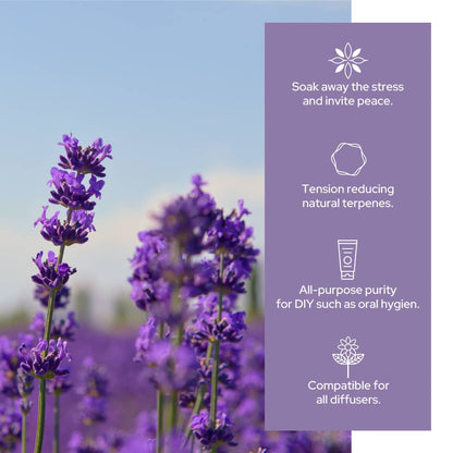 Lavender Essential Oil | Therapeutic Grade | 4oz (120ml): 2oz