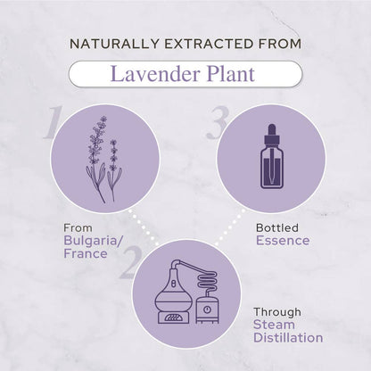 Lavender Essential Oil | Therapeutic Grade | 4oz (120ml): 2oz