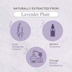 Lavender Essential Oil | Therapeutic Grade | 4oz (120ml): 2oz