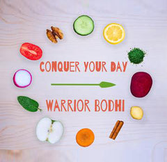 Warrior Bodhi - IF Program