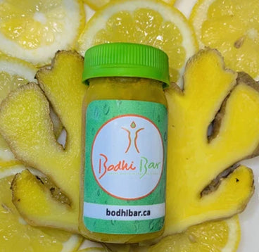 Bodhi Shot-Ginger - Bodhi Bar
